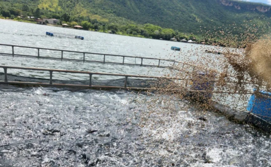 Crescimento é reflexo das ações estratégicas desenvolvidas pelo Governo do Tocantins, por meio da Secretaria de Estado da Pesca e Aquicultura (Sepea) - Foto: Thiago Tardivo/Governo do Tocantins
